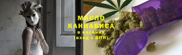 индика Вязники