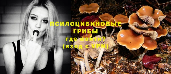 индика Вязники