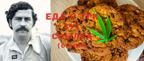 индика Вязники