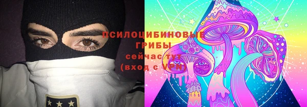 альфа пвп Горнозаводск