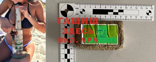 индика Вязники