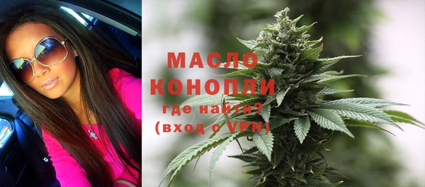 индика Вязники
